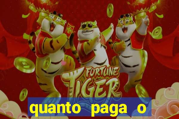 quanto paga o jungle fight
